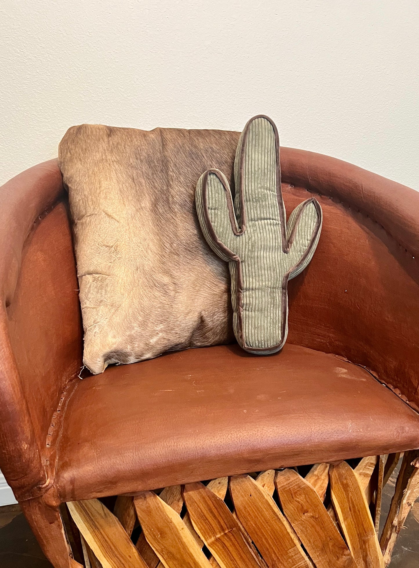 KICK a cactus pillow